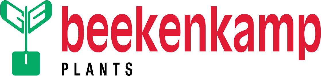 Beekenkamp Ornamentals